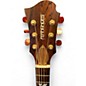 Used Fernandes LSA 65 Natural Solid Body Electric Guitar