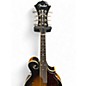 Used Fender FM63SE Tobacco Sunburst Mandolin