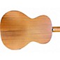 Used 2021 Alvarez DELTA DELITE Sunburst Acoustic Guitar
