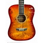 Used Washburn DFBDA DEEP FOREST BURL D AMBER FADE Acoustic Guitar