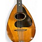 Used Misc Mandolin 50s OR 60s Antique Natural Mandolin