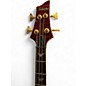 Used Schecter Guitar Research C4 DIAMOND SERIES  MAROON QUILT Electric Bass Guitar