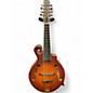 Used Gold Tone F-10 10 String Sunburst Mandolin thumbnail