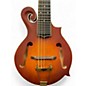 Used Gold Tone F-10 10 String Sunburst Mandolin