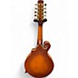Used Gold Tone F-10 10 String Sunburst Mandolin