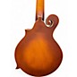Used Gold Tone F-10 10 String Sunburst Mandolin