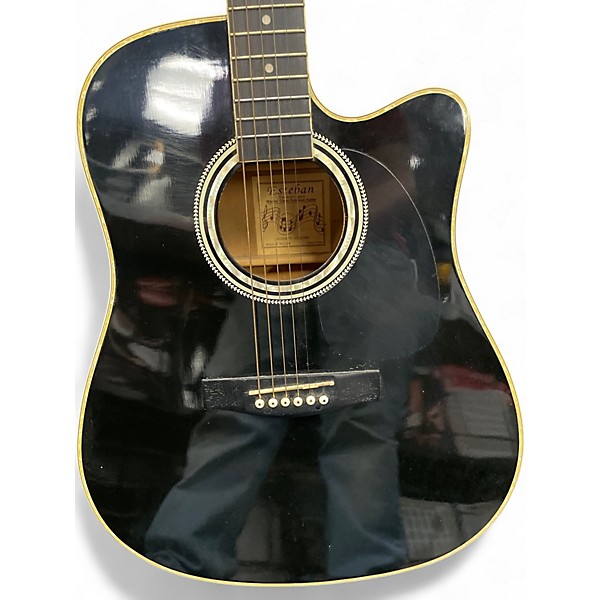 Used Esteban alc-200 Black and Silver Acoustic Electric Guitar
