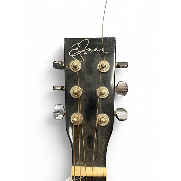 Used Esteban alc-200 Black and Silver Acoustic Electric Guitar