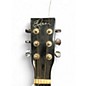 Used Esteban alc-200 Black and Silver Acoustic Electric Guitar