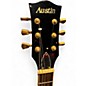 Used Austin AU786 2 Color Sunburst Solid Body Electric Guitar