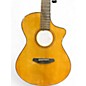 Used Breedlove Organic Pro Performer CN thin Antique Natural Acoustic Electric Guitar