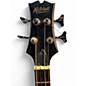 Used Mitchell t239bce brown Acoustic Bass Guitar