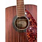 Used Fender Tim Armstrong Hellcat WALNUT Acoustic Electric Guitar