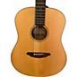 Used Breedlove Passport D200/SMP Natural Acoustic Guitar