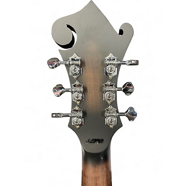 Used Gold Tone F6 2 Tone Sunburst Acoustic Guitar