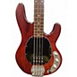 Used Sterling by Music Man S.U.B. StingRay Ray4 Walnut Electric Bass Guitar