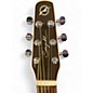 Used Seagull Entourage Rustic Cutaway Honey Burst Acoustic Electric Guitar