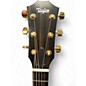 Used Taylor 117E SUNSET BOULEVARD Acoustic Electric Guitar