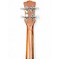 Used Luna Concert Tattoo Mahogany Ukulele