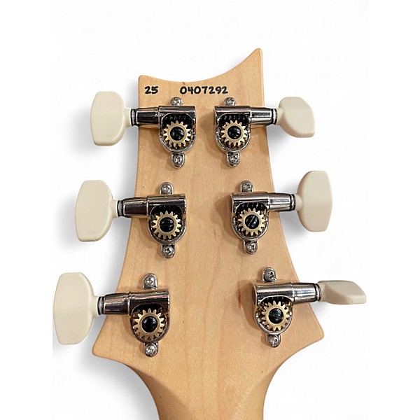 Used PRS Swamp Ash Special BLACK DOGHAIR SMOKEBURST Solid Body Electric Guitar