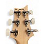 Used PRS Swamp Ash Special BLACK DOGHAIR SMOKEBURST Solid Body Electric Guitar