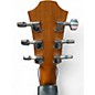 Used Furch BLUE G-SW Natural Acoustic Electric Guitar