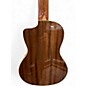 Used Luna Vista Eagle Concert Natural Ukulele