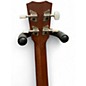 Used Cordoba 20TMCE Tenor Mahogany Ukulele