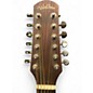 Used Walden D552 Natural 12 String Acoustic Guitar