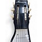 Vintage 1960s Harmony ROY SMECK Black and White Lap Steel