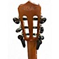 Used Cordoba Fusion 12 BROWN SUGAR BURST Classical Acoustic Electric Guitar