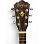 Used Washburn WL012SE Mahogany Acoustic Electric Guitar