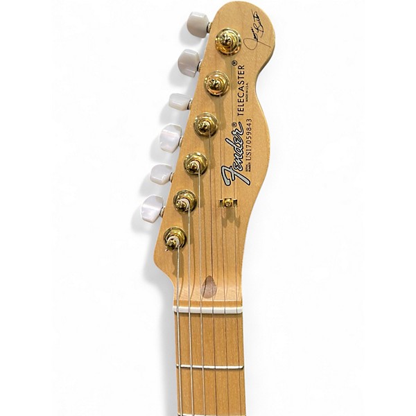 Used Fender Artist Series James Burton Telecaster Red Paisley Flame Solid Body Electric Guitar