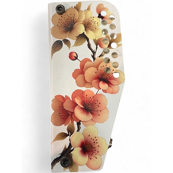 Used Thorpy Fx HANAMI Effect Pedal