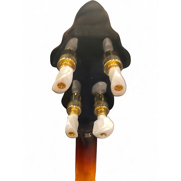 Used Flinthill FHB-287 Gold Banjo