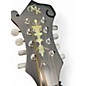 Used Michael Kelly L-ELE VINTAGE BURST Mandolin