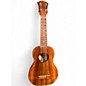 Used Kaloha Ukulele Natural Ukulele thumbnail