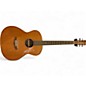 Used Tanglewood  Java  Natural Acoustic Guitar thumbnail