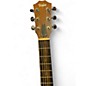 Used Taylor GS Mini Koa Natural Acoustic Guitar