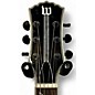 Used Wylde Audio Odin Grail Charcoal Solid Body Electric Guitar