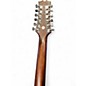 Used Mitchell T331TCE -12 STRING Mahogany 12 String Acoustic Electric Guitar