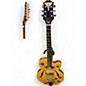 Used Epiphone Wildkat Antique Natural Hollow Body Electric Guitar