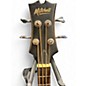 Used Mitchell T239BCE 2 Tone Sunburst Acoustic Bass Guitar
