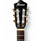 Used Ibanez AEG50N Black Classical Acoustic Guitar