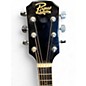 Used Rogue RD80 Natural Acoustic Guitar