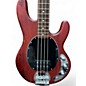 Used Sterling by Music Man SUB Series StingRay Walnut Electric Bass Guitar thumbnail