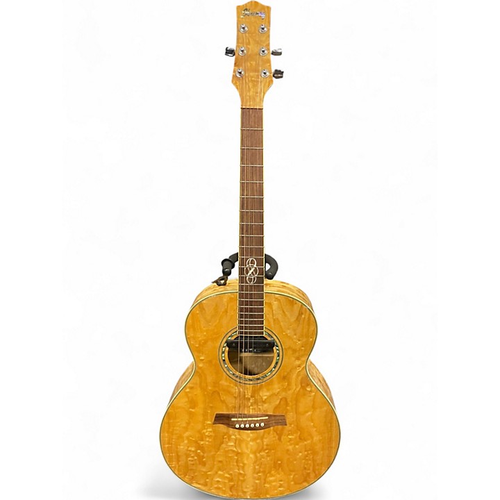 IBANEZ EW20AS acoustic guitars for sale in USA | guitar-list