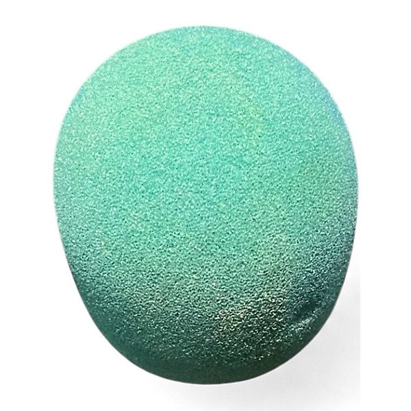 Used Tz Audio TZ X2 Condenser Microphone