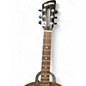 Used Washburn PR200 PRAIRIE STATE Natural Acoustic Guitar