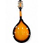 Used Rogue RM100A A Style Sunburst Mandolin